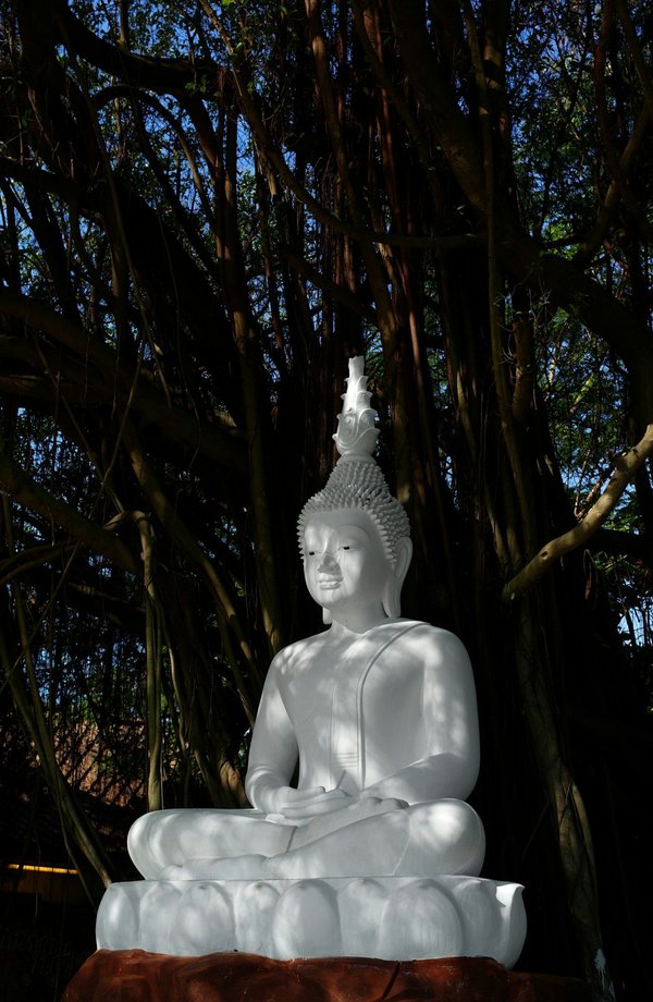 Qui sont les maîtres ascensionnés, entités du haut astral ?